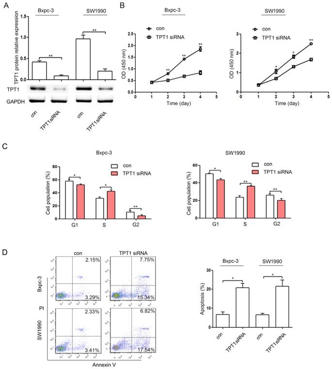 J Cancer Image