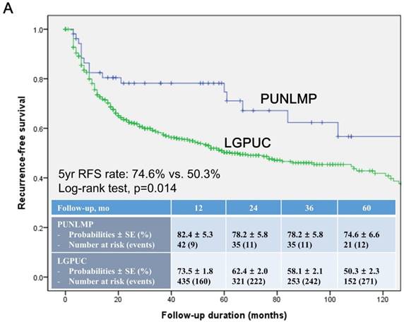 J Cancer Image