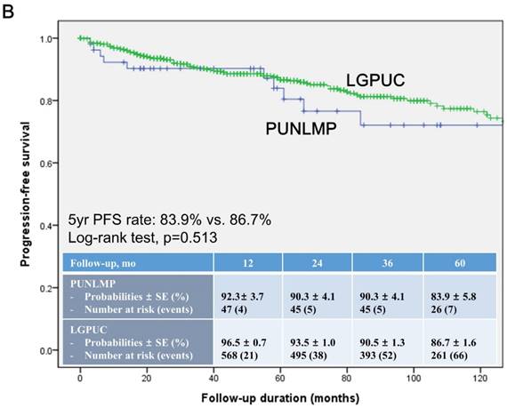 J Cancer Image