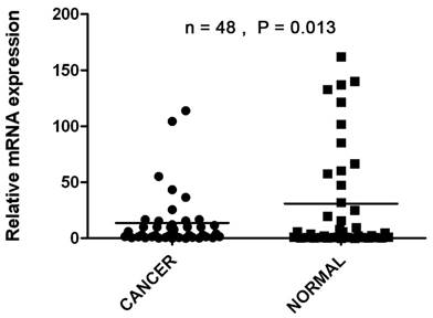 J Cancer Image