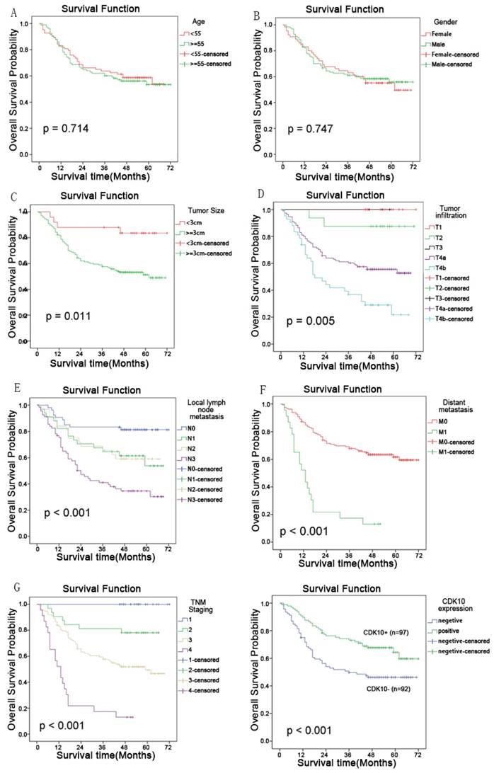 J Cancer Image