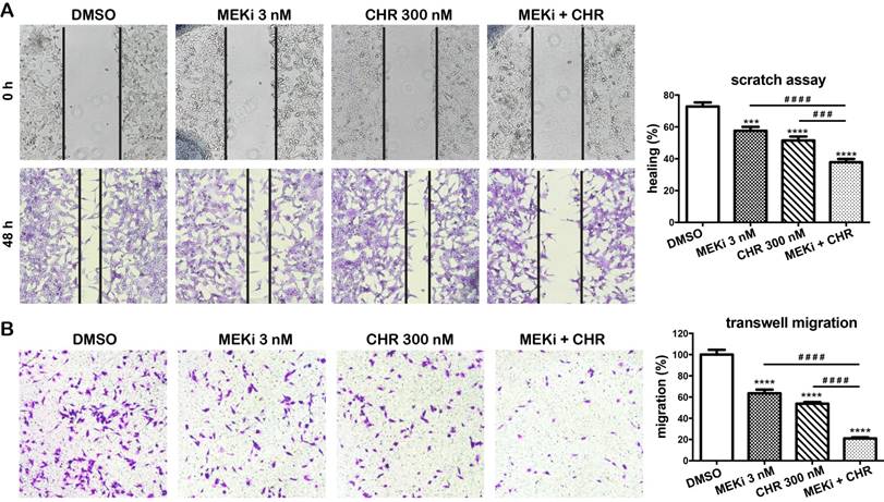 J Cancer Image