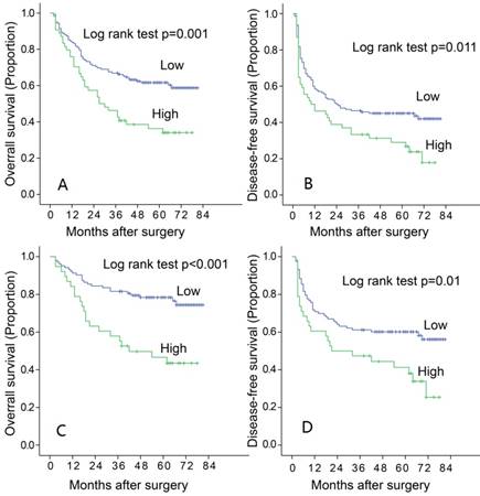 J Cancer Image