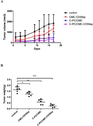 J Cancer Image