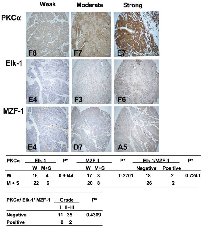 J Cancer Image