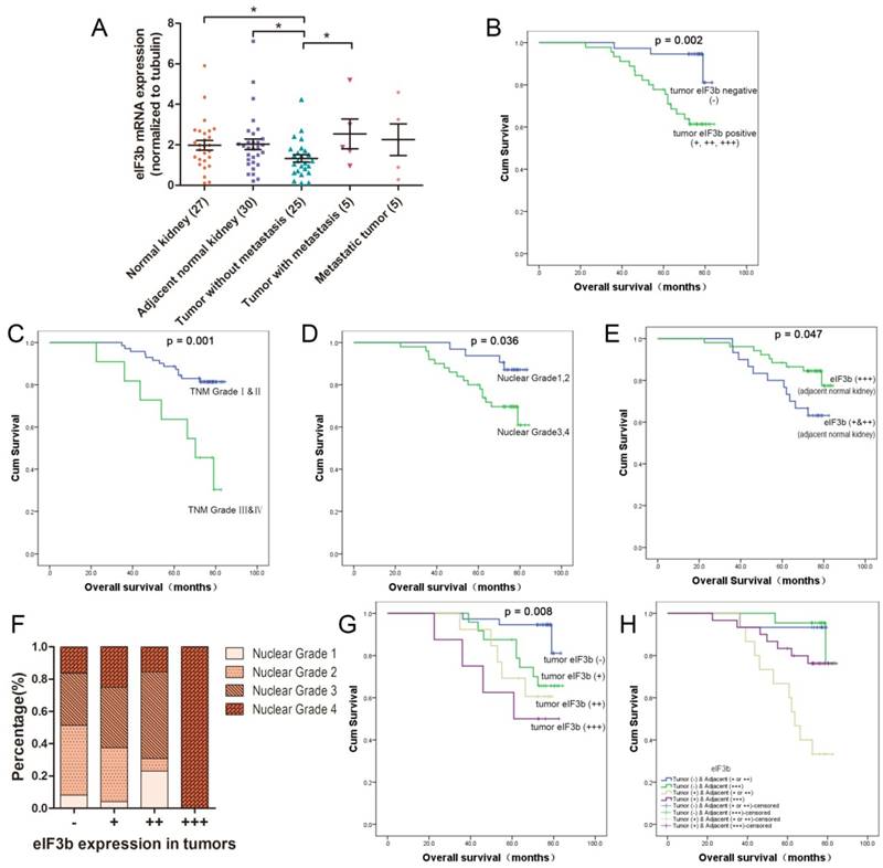 J Cancer Image