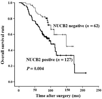 J Cancer Image