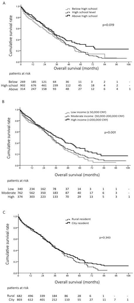 J Cancer Image