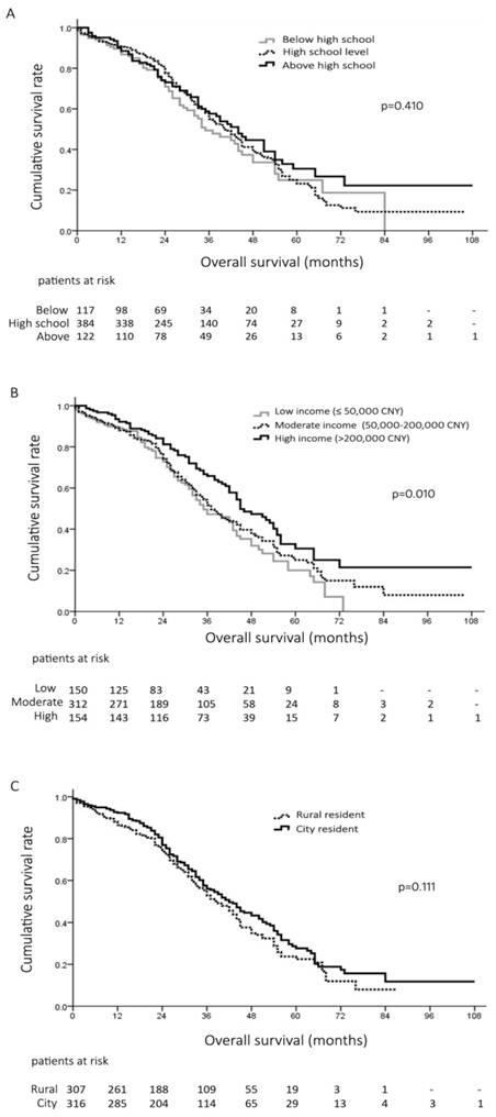 J Cancer Image