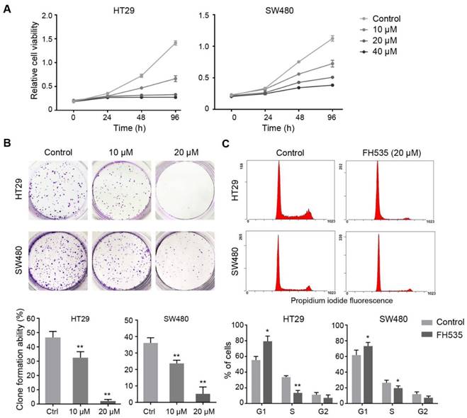 J Cancer Image