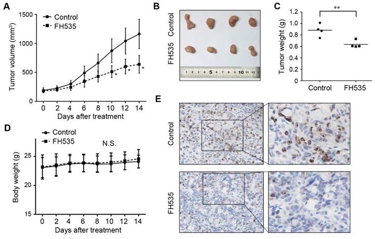 J Cancer Image