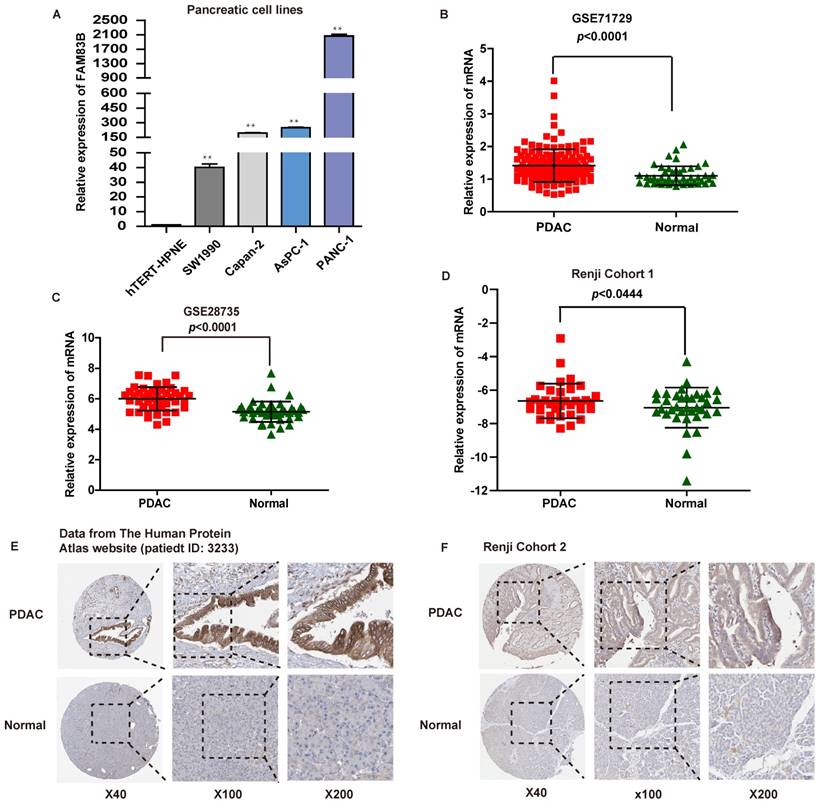 J Cancer Image