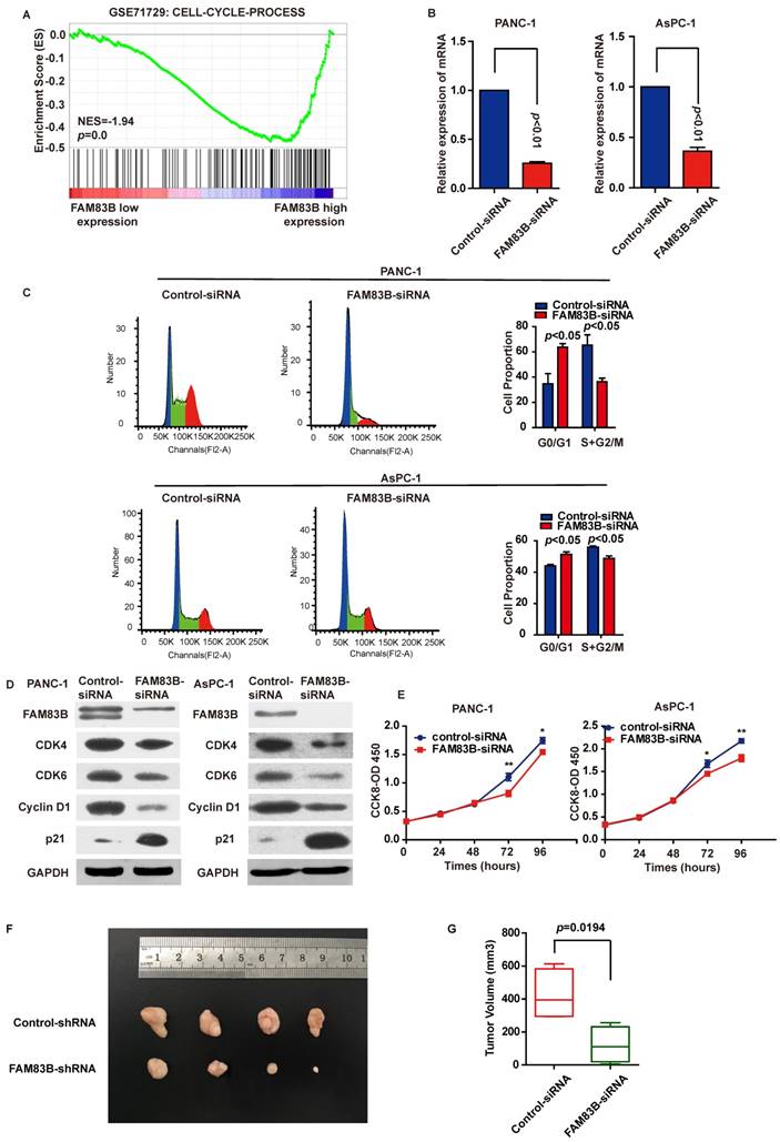 J Cancer Image