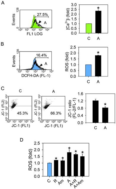 J Cancer Image