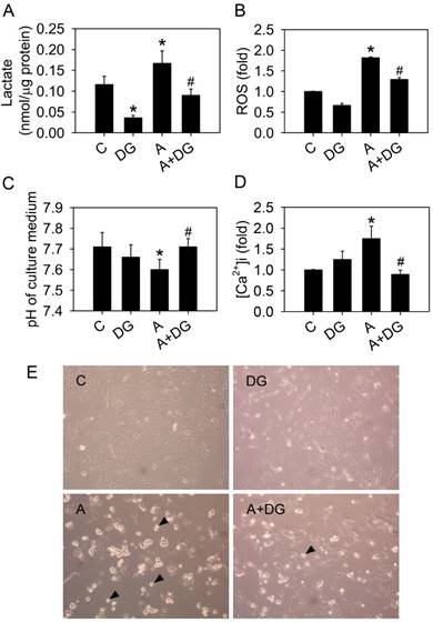 J Cancer Image