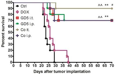 J Cancer Image