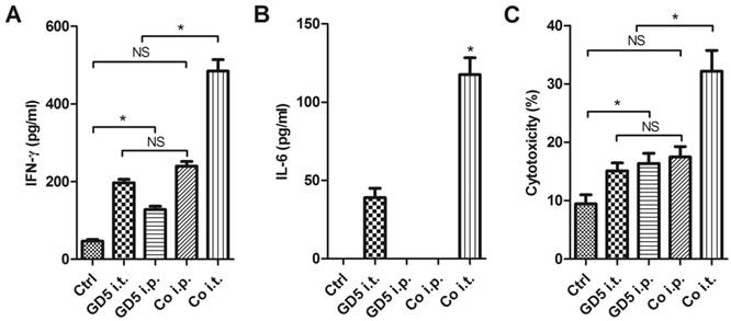 J Cancer Image