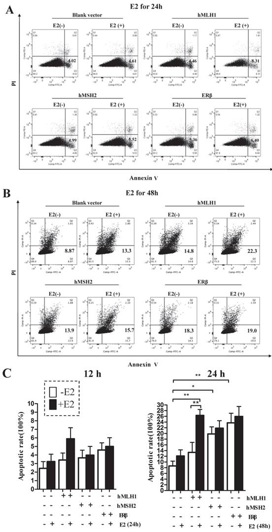 J Cancer Image