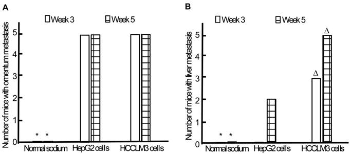 J Cancer Image