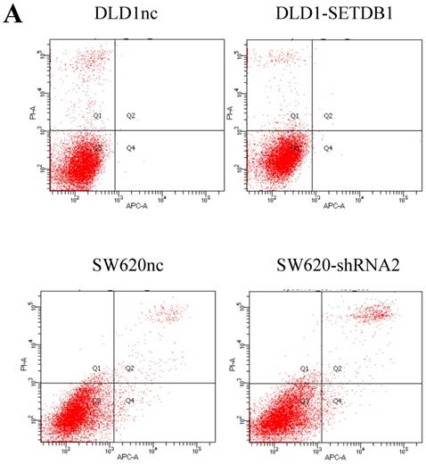 J Cancer Image