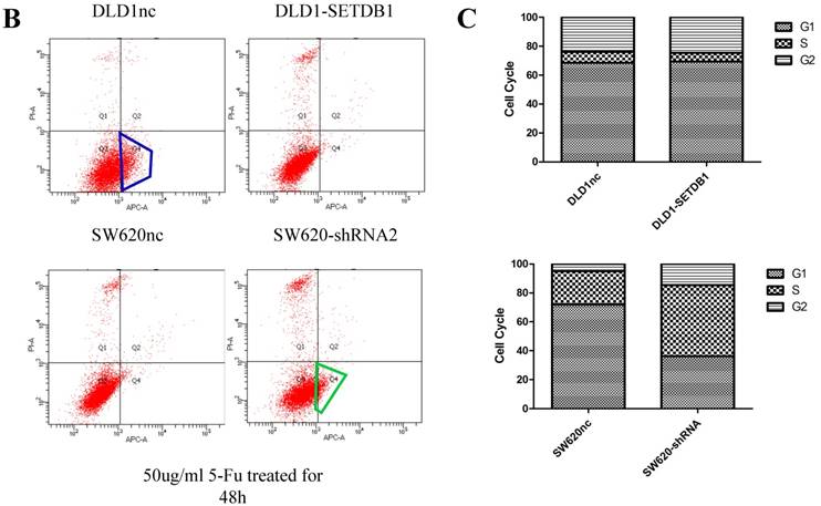 J Cancer Image