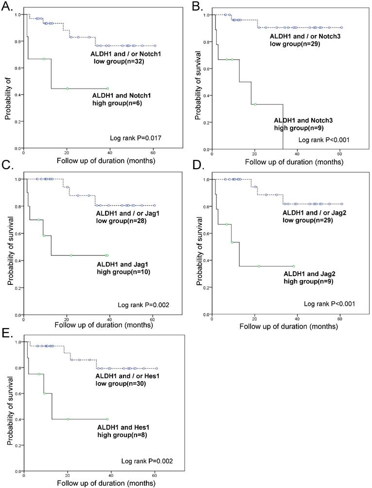 J Cancer Image