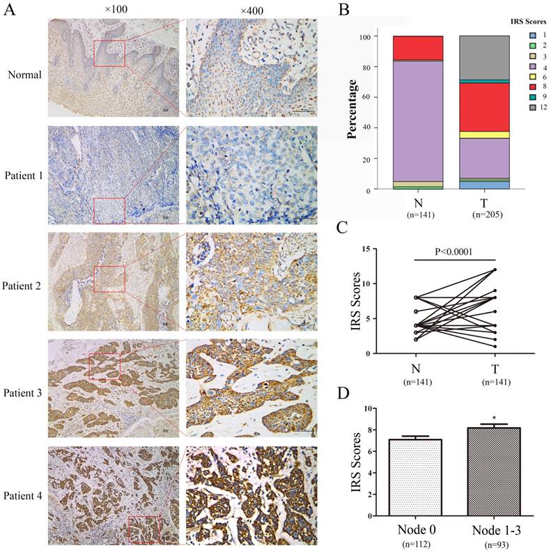 J Cancer Image