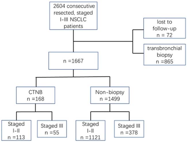 J Cancer Image