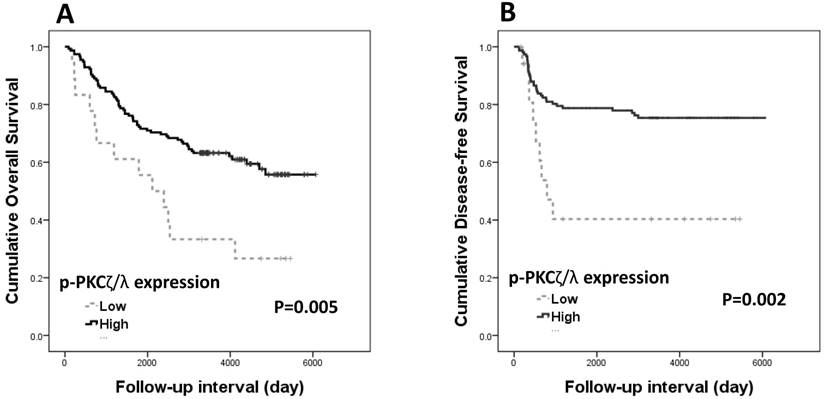 J Cancer Image