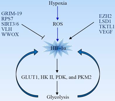 J Cancer Image