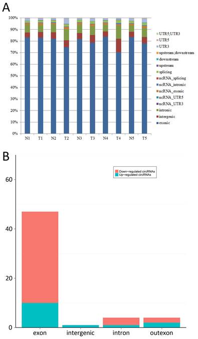 J Cancer Image