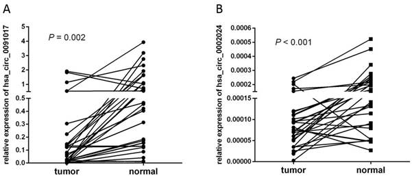 J Cancer Image