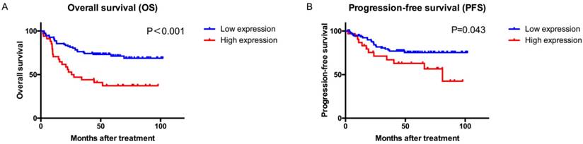 J Cancer Image