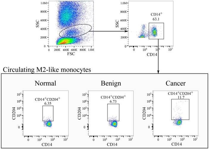 J Cancer Image