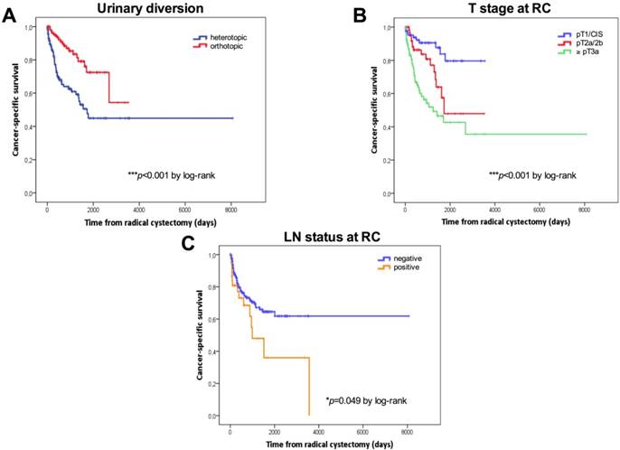 J Cancer Image