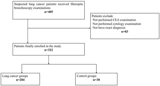 J Cancer Image