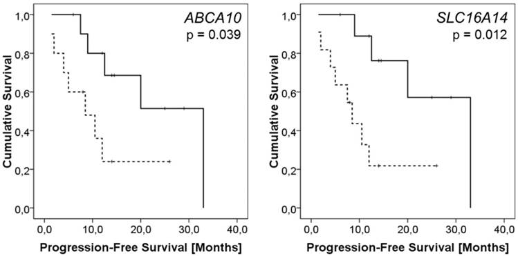 J Cancer Image