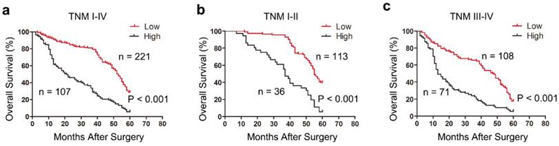 J Cancer Image