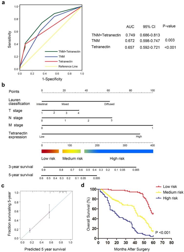 J Cancer Image