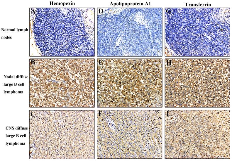 J Cancer Image