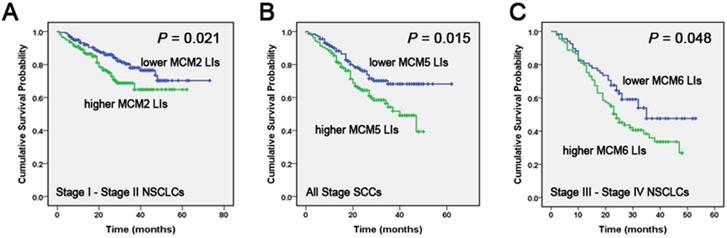 J Cancer Image