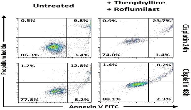 J Cancer Image