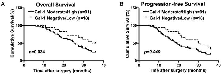 J Cancer Image