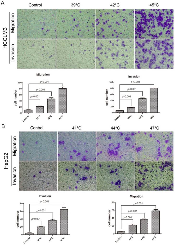 J Cancer Image