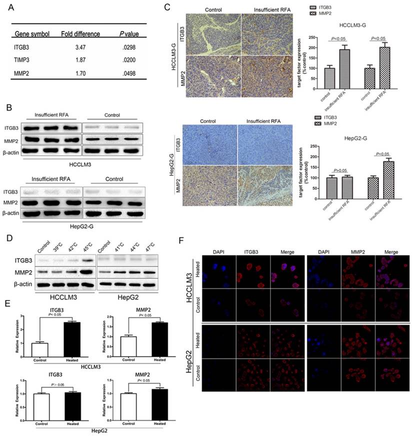 J Cancer Image