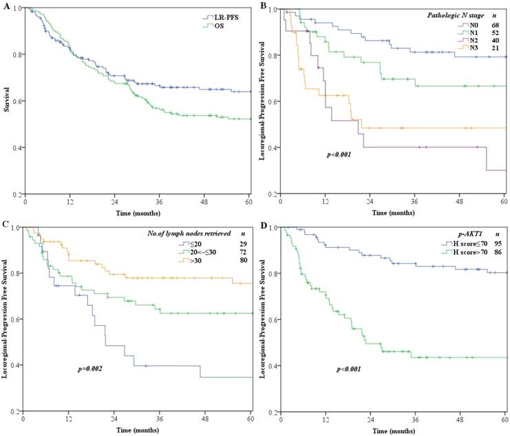 J Cancer Image