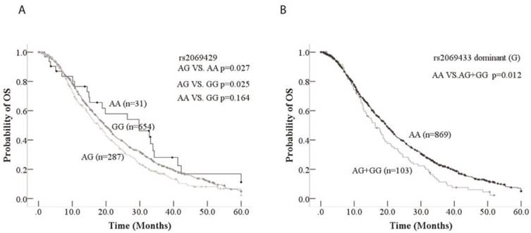 J Cancer Image