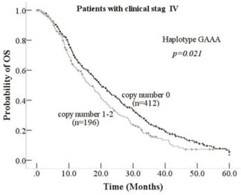 J Cancer Image