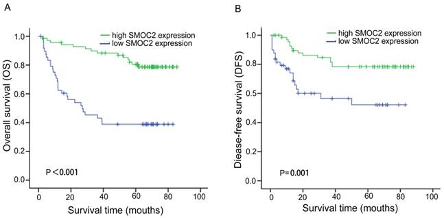 J Cancer Image