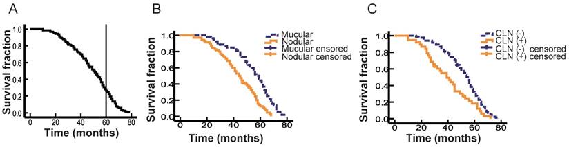 J Cancer Image